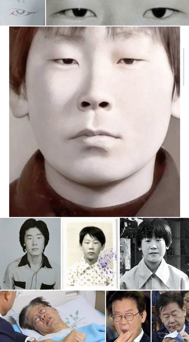 나비담 tweet media