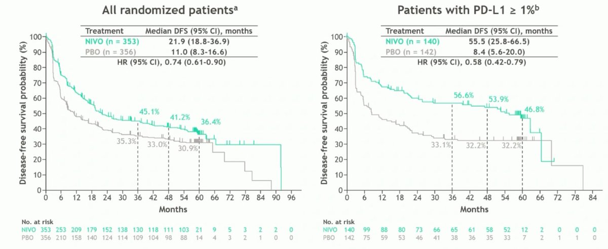 zklaassen_md's tweet image. 5-yr efficacy &amp;amp; ctDNA results from CheckMate 274: 
Adjv Nivo vs PBO for HR MIUC #ESMO25 @urotoday 

🌐 ⬆️DFS: all pts (HR 0.74, 95% CI 0.61-0.90) and PD-L1 ≥ 1% (HR 0.58, 95% CI 0.42-0.79)
🌐⬆️DFS: MIBC pts (HR 0.66, 95% CI 0.53-0.81) and PD-L1 ≥ 1% (HR 0.50, 95% CI 0.36-0.72)…