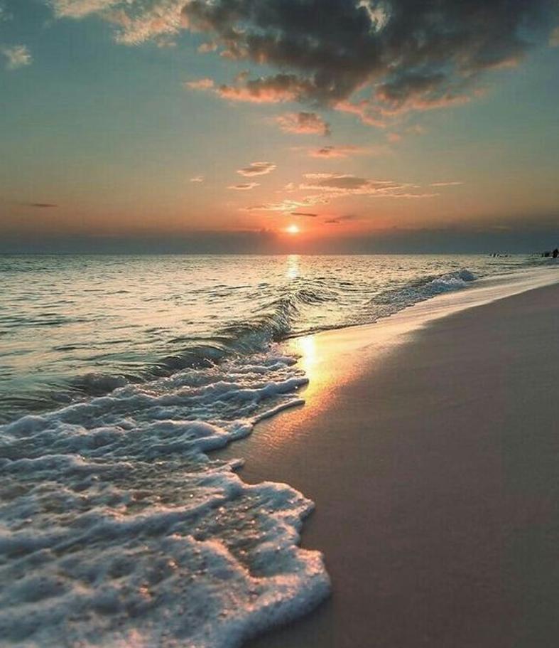 papapapapati's tweet image. 冷たいパスタを食べる 🌋