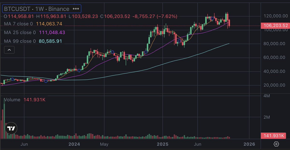 CoinScouter.Com tweet media