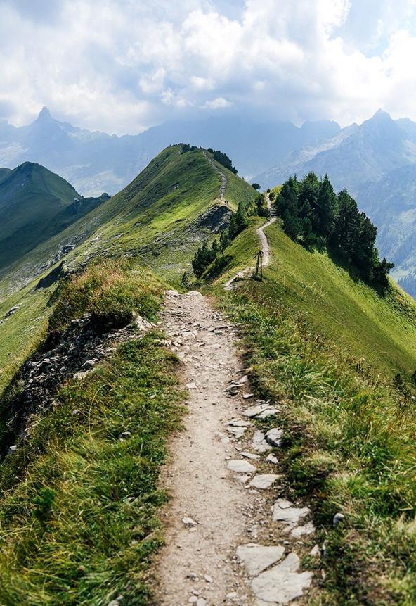 phillfails's tweet image. たまに散歩を始める 👩‍👩‍👧