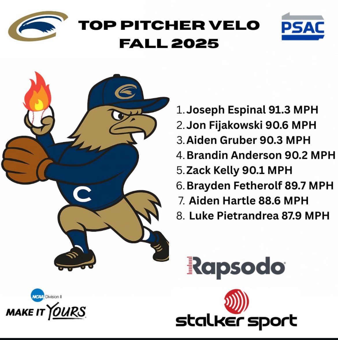 Frewsburg Baseball tweet media