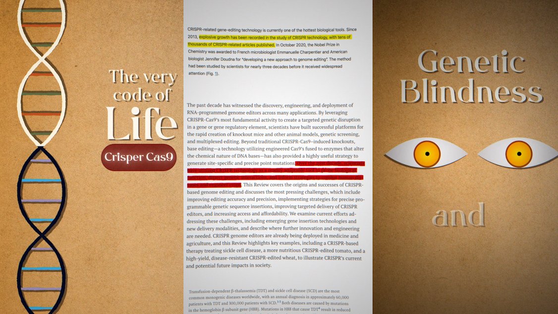 AffanArfi44456's tweet image. Did I cook here?
Or nah.

Are you looking for an editor?
Hit my DM.

#design #VideoEditing #informative #MotionGraphics