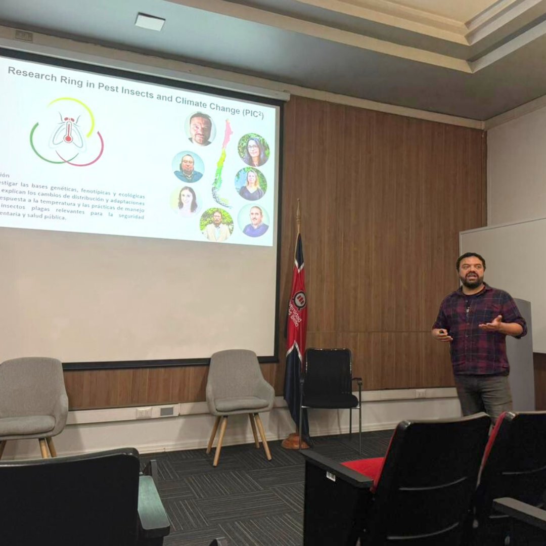 Research Ring in Pest Insects and Climate Change (@anillopic2) on Twitter photo 📷Les compartimos el registro de la charla de nuestro director, <a href="/BioCastaneda/">Luis Castañeda</a> en el ciclo de seminarios del Instituto One Health de <a href="/uandresbello/">U. Andrés Bello</a>, titulada "Insectos y cambio climático: oportunidades y desafíos para entender las adaptaciones a un mundo cambiante". 📷Les compartimos el registro de la charla de nuestro director, <a href="/BioCastaneda/">Luis Castañeda</a> en el ciclo de seminarios del Instituto One Health de <a href="/uandresbello/">U. Andrés Bello</a>, titulada "Insectos y cambio climático: oportunidades y desafíos para entender las adaptaciones a un mundo cambiante".