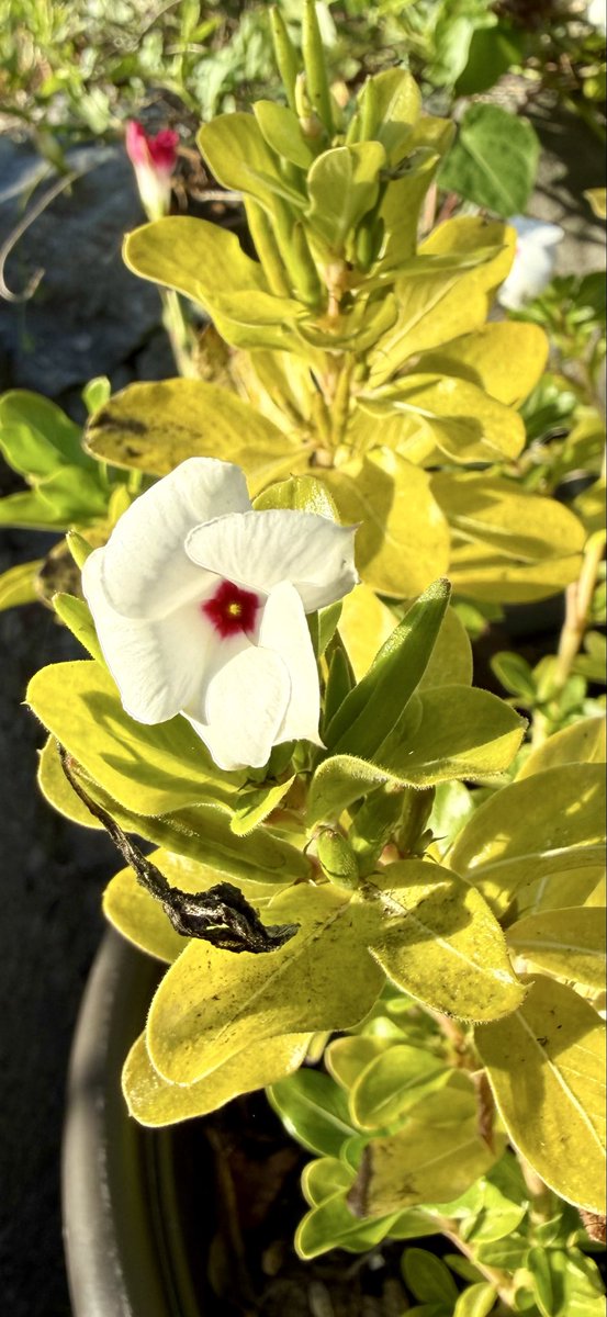 matt smith ❗️ (@2mathewsmith) on Twitter photo 