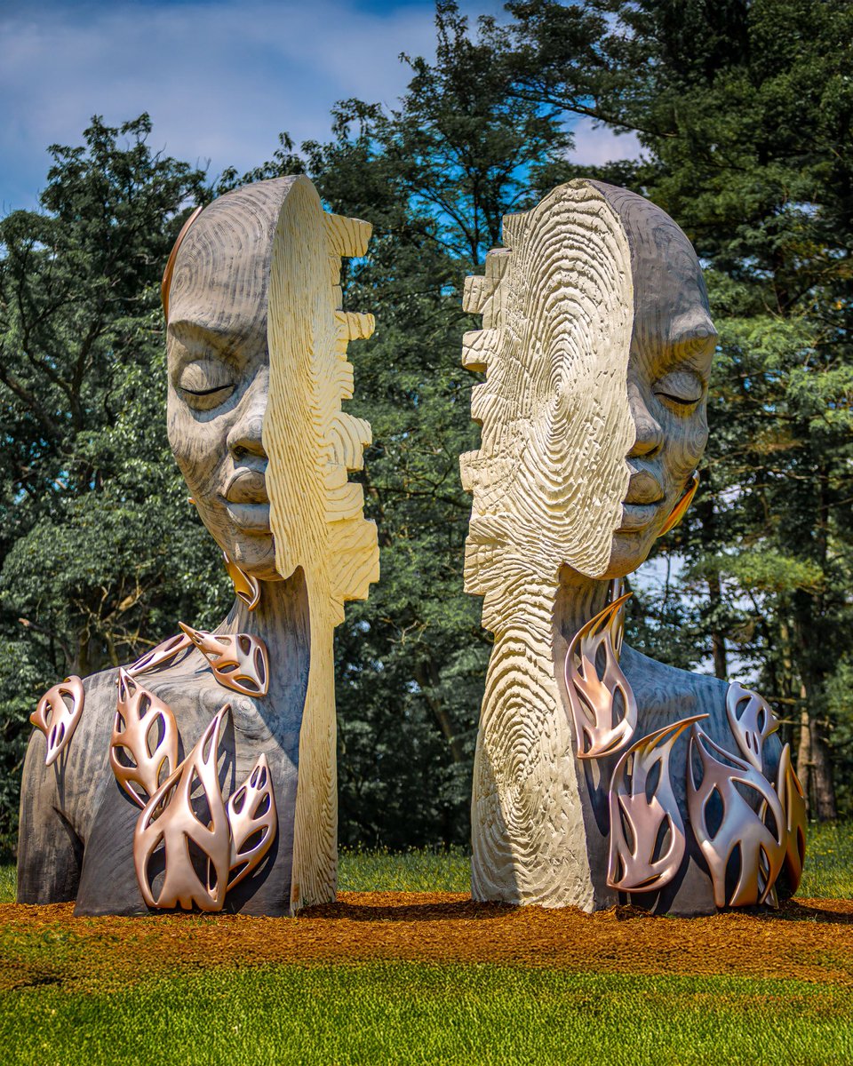 Daniel Popper tweet media