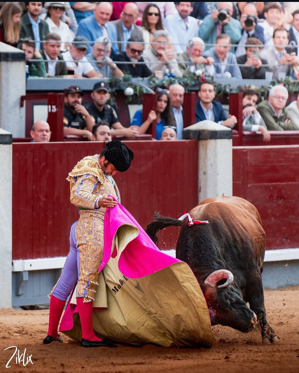 Tercio de Quites tweet media