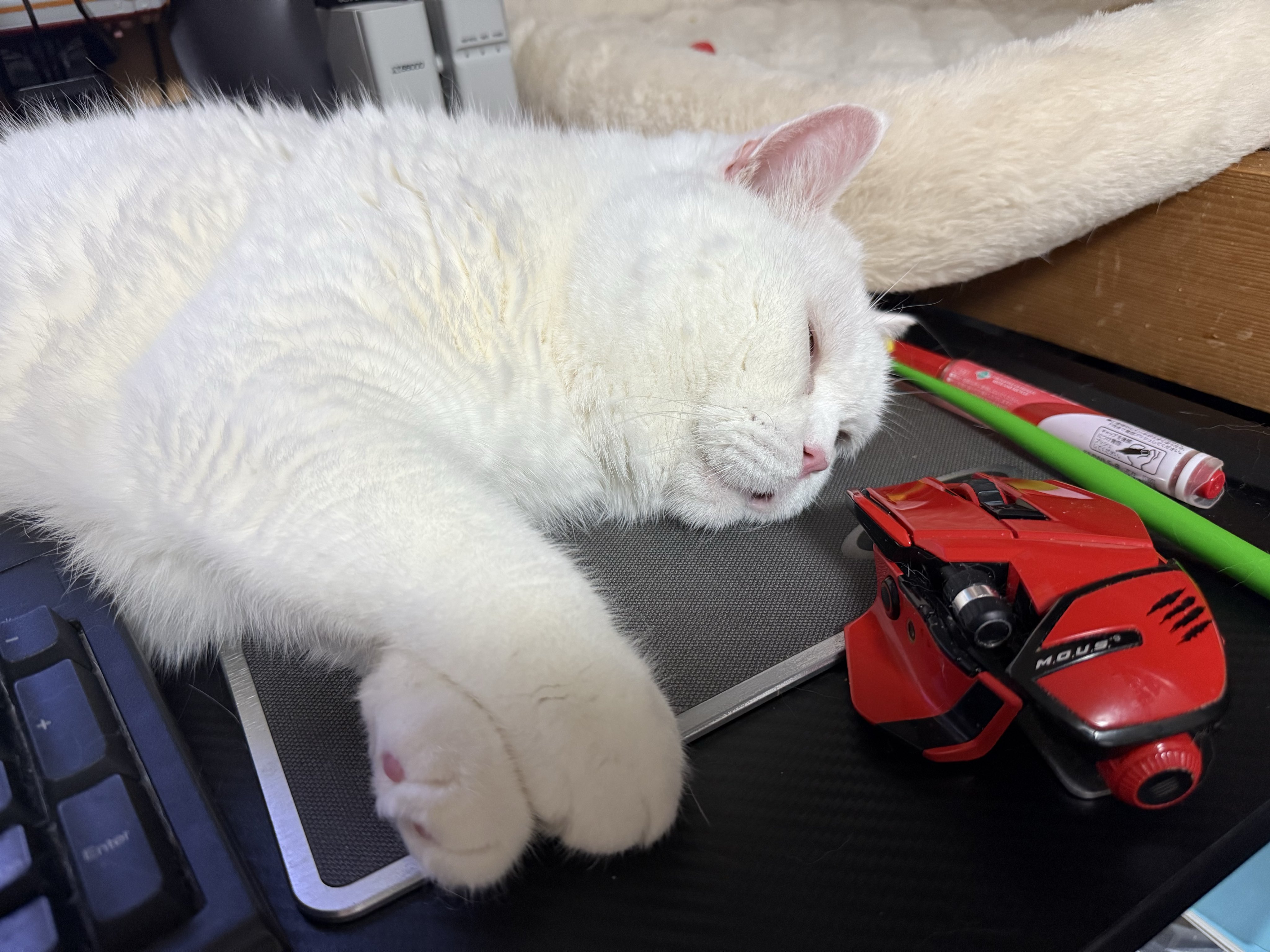 ぴぴぴ☆@10/12(日) M I 6 8 on X: 