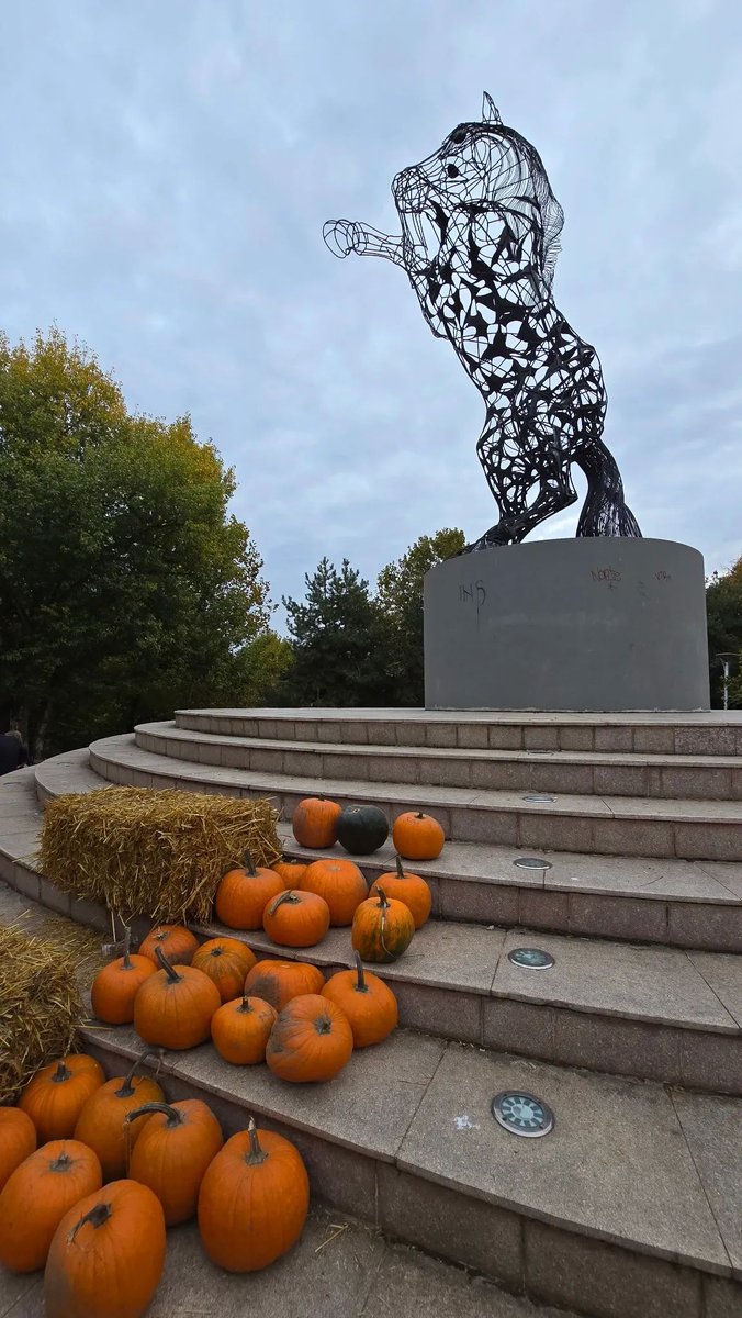 Travel_2Romania's tweet photo. Toamna vine cu aromฤ de dovleac รฎn parcul Titan din Bucureศti!
รn acest weekend, 17โ19 octombrie 2025, ne bucurฤm de Titan #PumpkinFest, un festival plin de culoare, gusturi de sezon ศi activitฤศi pentru toate vรขrstele. ๐
๐ท Sweet Bucharest https://t.co/wGSMaGn2xi