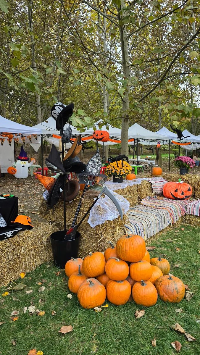 Travel_2Romania's tweet photo. Toamna vine cu aromฤ de dovleac รฎn parcul Titan din Bucureศti!
รn acest weekend, 17โ19 octombrie 2025, ne bucurฤm de Titan #PumpkinFest, un festival plin de culoare, gusturi de sezon ศi activitฤศi pentru toate vรขrstele. ๐
๐ท Sweet Bucharest https://t.co/wGSMaGn2xi
