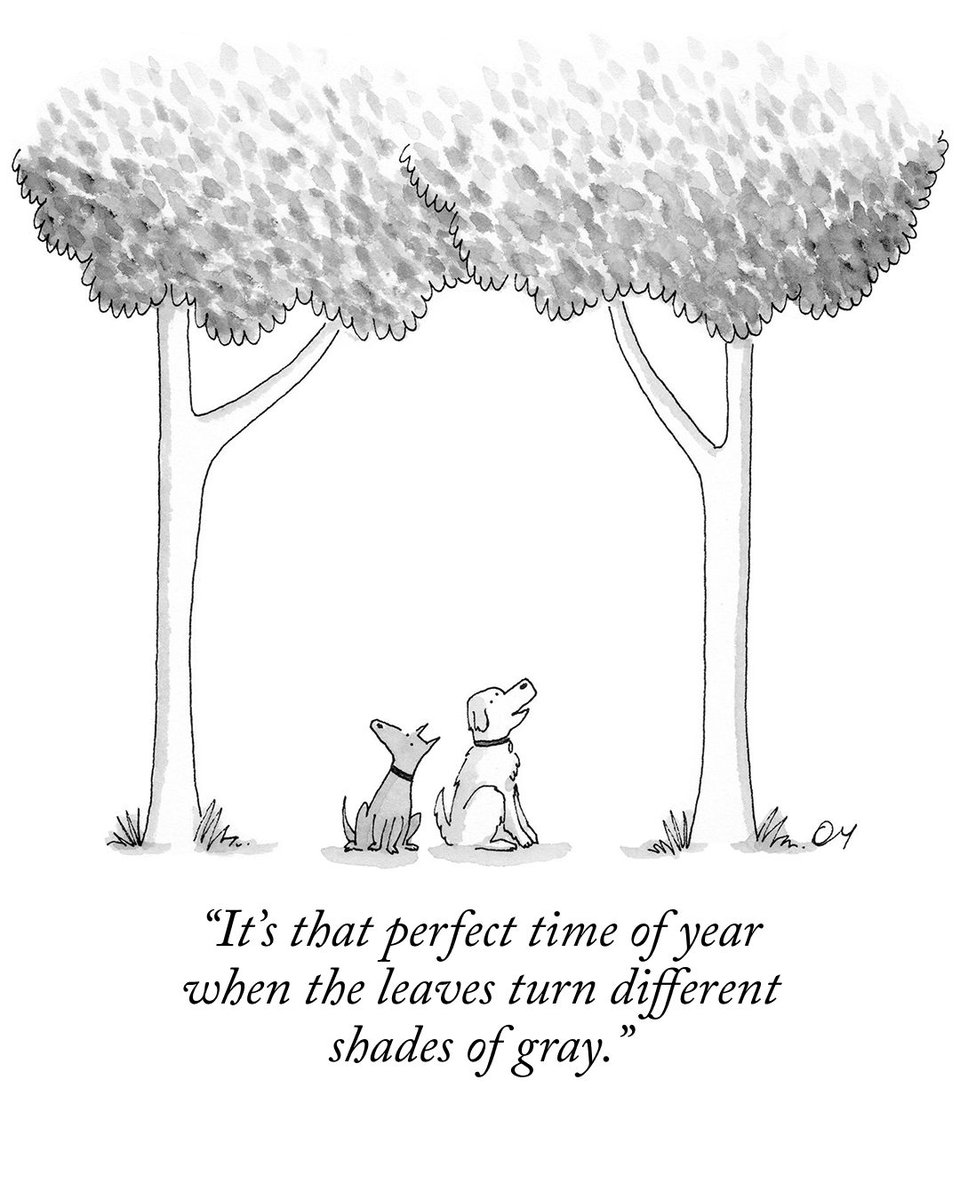 Today’s Daily Cartoon, by Dan Misdea. #NewYorkerCartoons

Get more cartoons and other funny stuff right in your inbox: newyorkercartoons.visitlink.me/kX31rI