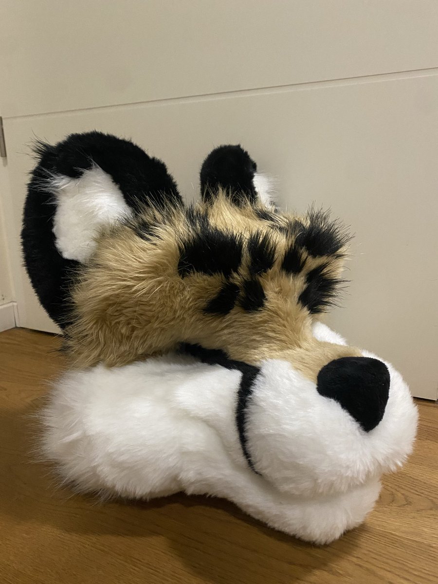 Das Fell ist aufgeklebt, am Montag geht es mit der Rasur weiter 

The fur is glued on now, we will continue with the shaving on monday