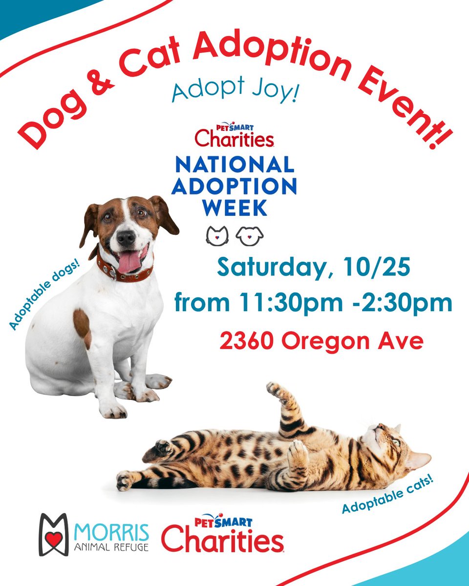 MorrisAnimal's tweet photo. We have lots of pawsome stuff happening this month - find more details at https://t.co/ojCryXUzg6 https://t.co/Ldild5Iolr