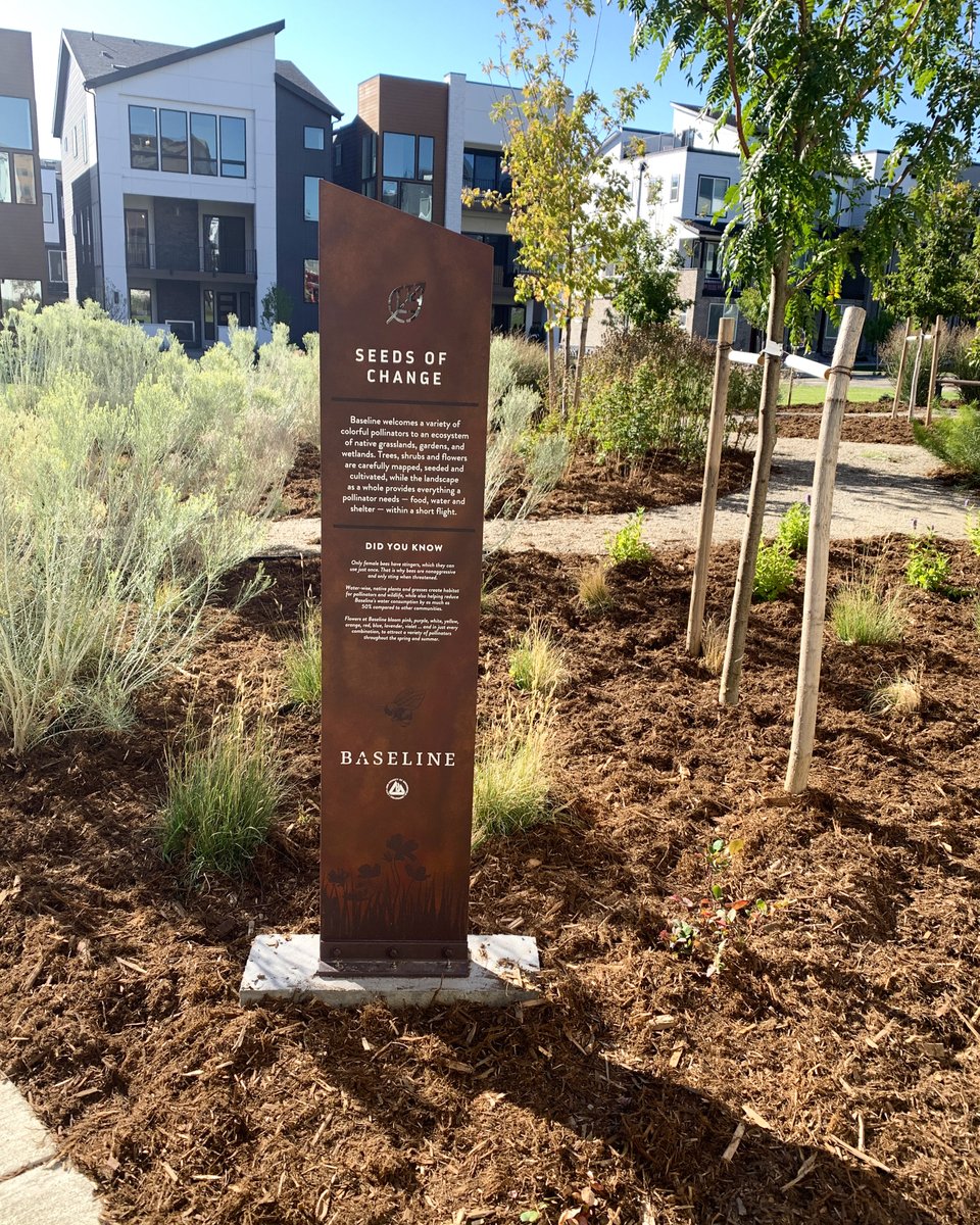 New signs, new beginnings! 🏡
BSC Signs teamed up with ArtHouse to bring the vision for Baseline in Broomfield, CO to life — a stunning new neighborhood right off I-25.
Started in late 2023 and built with pride! 👏
#BSCSigns #BaselineBroomfield #ColoradoSigns