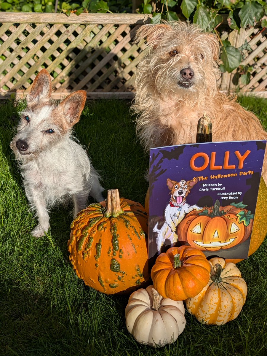 🎃 Let me tell you a bit more about my books...
Olly &amp; The #Halloween Party is the 3rd book in my #OllyTheJack series!
Olly dresses as Harry Pawter and hosts a spooky party with Luna the Lab 🐝 and newcomer Greyson the Whippet💚
linktr.ee/christurnbulla…
#ChildrensBooks #dogs #book