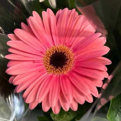 holly6030's tweet photo. #NewProfilePic https://t.co/kA7iJWfjs9
