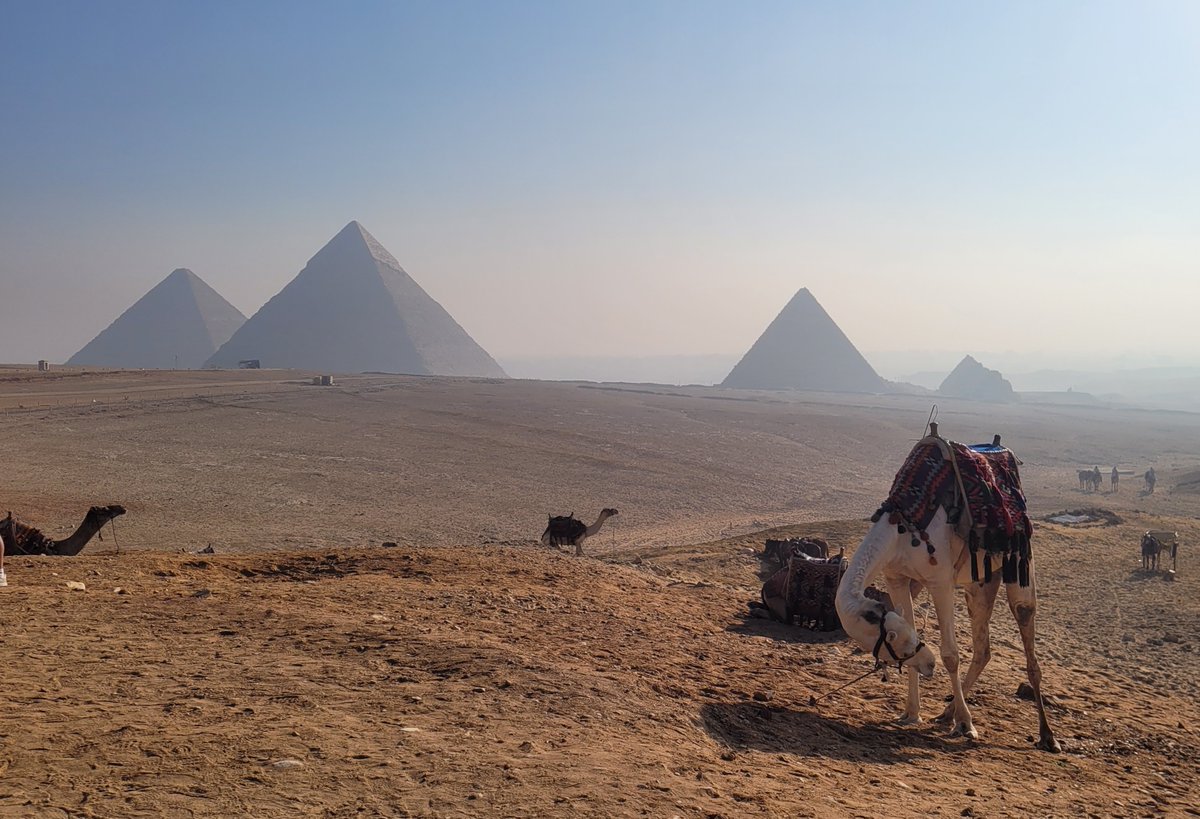 Evanthia Hatziminaoglou tweet media