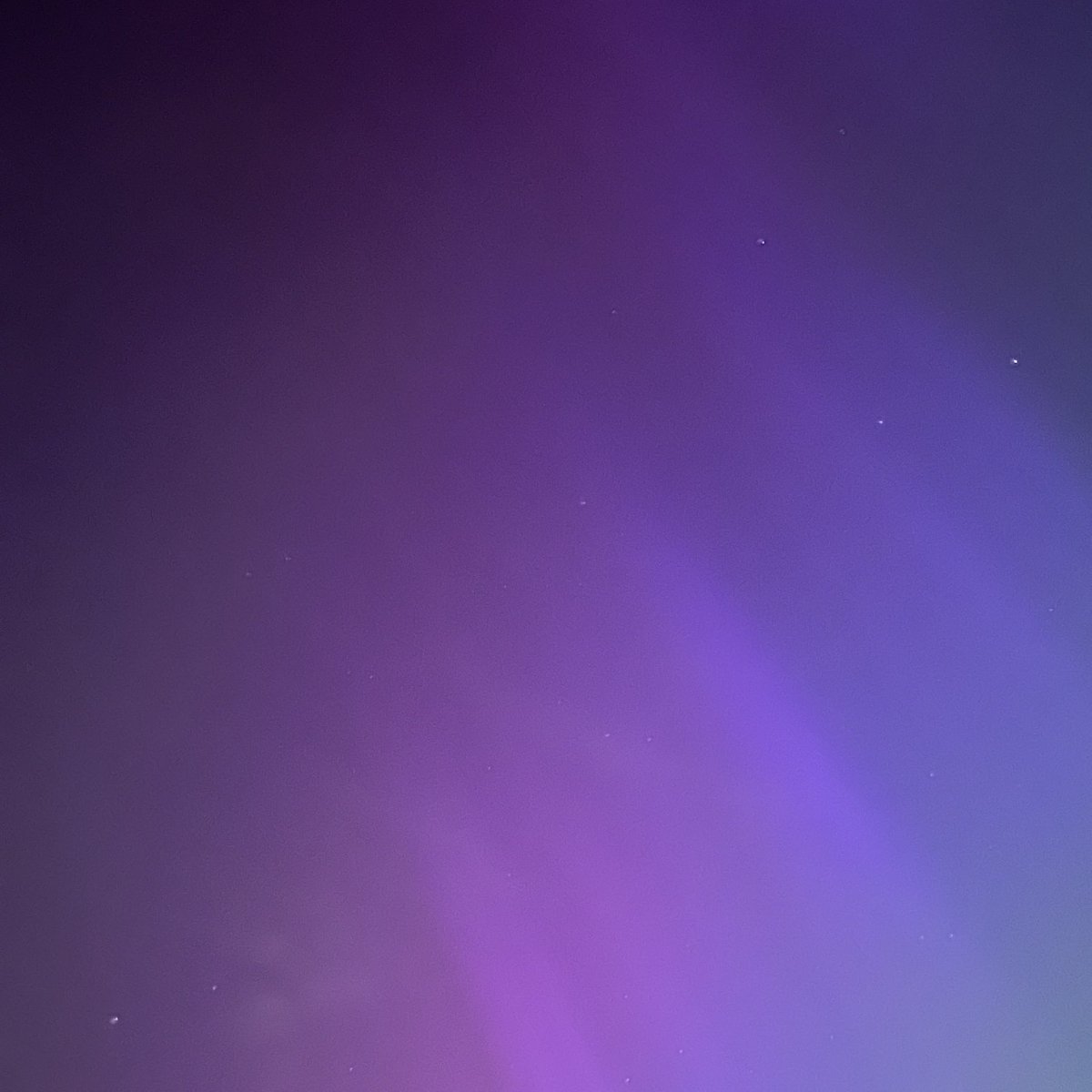 New Music Friday Peeps! So, So Real, taken from my latest LP The Peacock King. Available now on Bandcamp✌🏻Hit up the link in my bio to give the tune a spin #newmusicalert #newmusicfridays #newalbum #newsinglealert #newsingleoutnow‼️ 🎵⬇️ 🦚👑

bobbytreaclescartel.bandcamp.com/track/so-so-re…