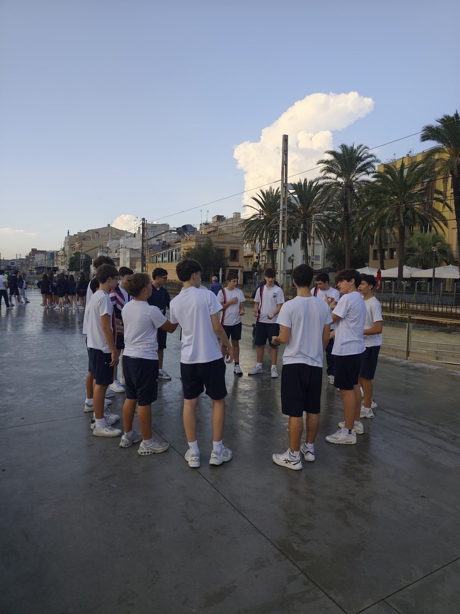 Col·legi Sant Andreu tweet media