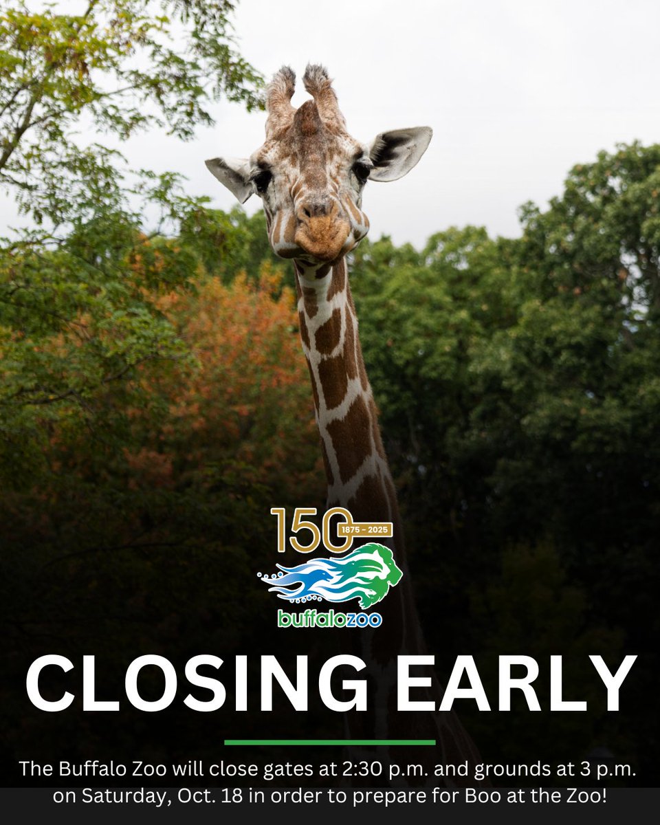 🚨 HEADS UP!

The Buffalo Zoo is closing early today (Saturday, Oct. 18) to allow for setup of tonight's Boo at the Zoo trick-or-treating event. Gates will close at 2:30 p.m. and grounds at 3 p.m.

🎃🎟️ Get Boo at the Zoo tickets: bit.ly/3V3Itci
