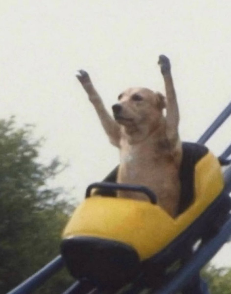 iti malias (@itimaliasof) on Twitter photo 