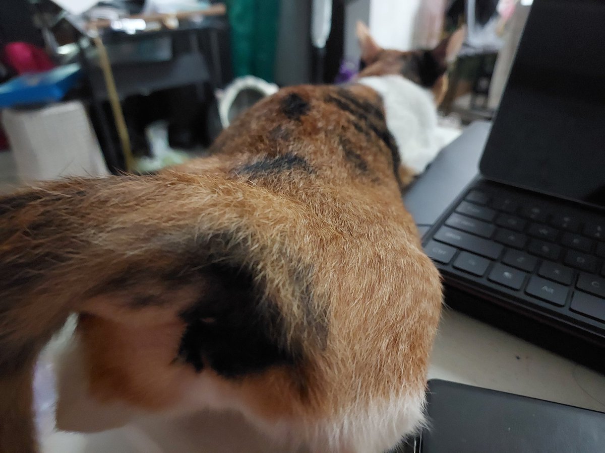 SailAB⚒️🔥⚓️ tweet media