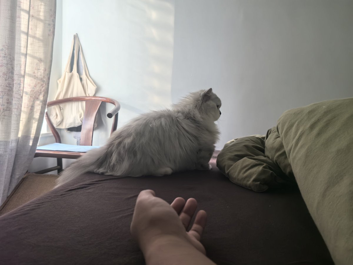 ttiiddaa315733's tweet image. 小胖子固定时间叫醒服务