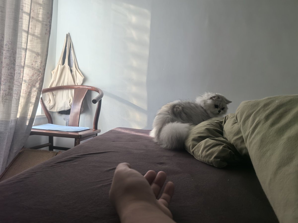 ttiiddaa315733's tweet image. 小胖子固定时间叫醒服务