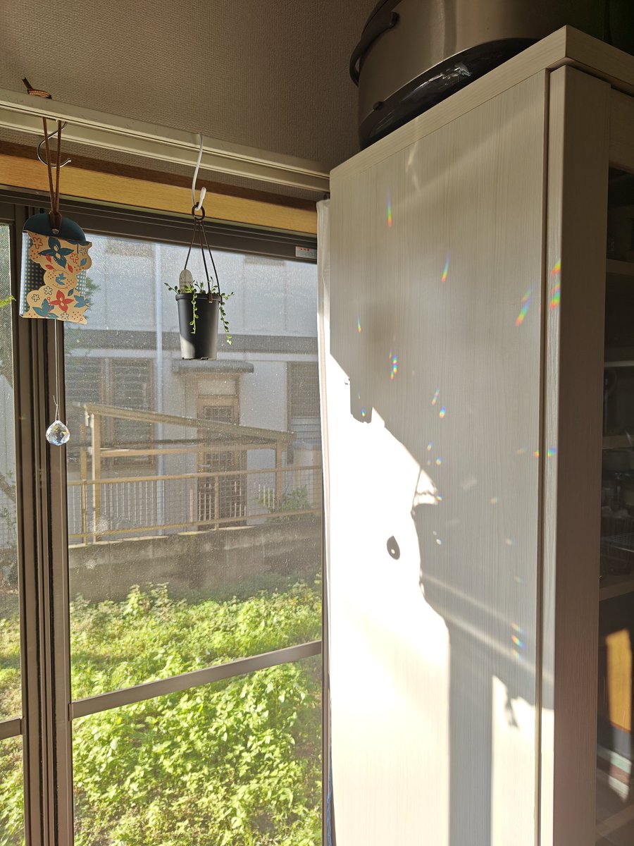 ☆COCO☆ページ✩.*˚サンキャッチャー サンキャッチャー