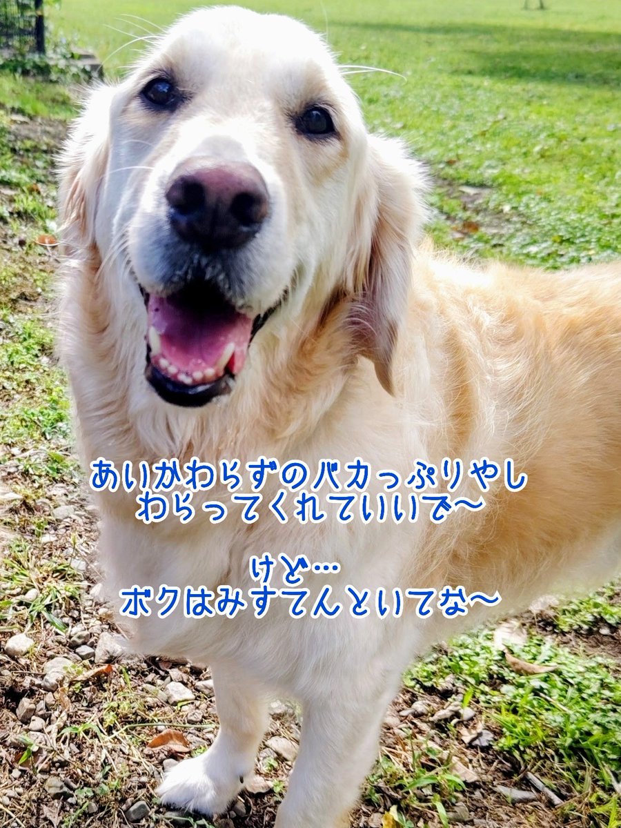 おたべちゃん𝓝𝓮𝔀 tweet media