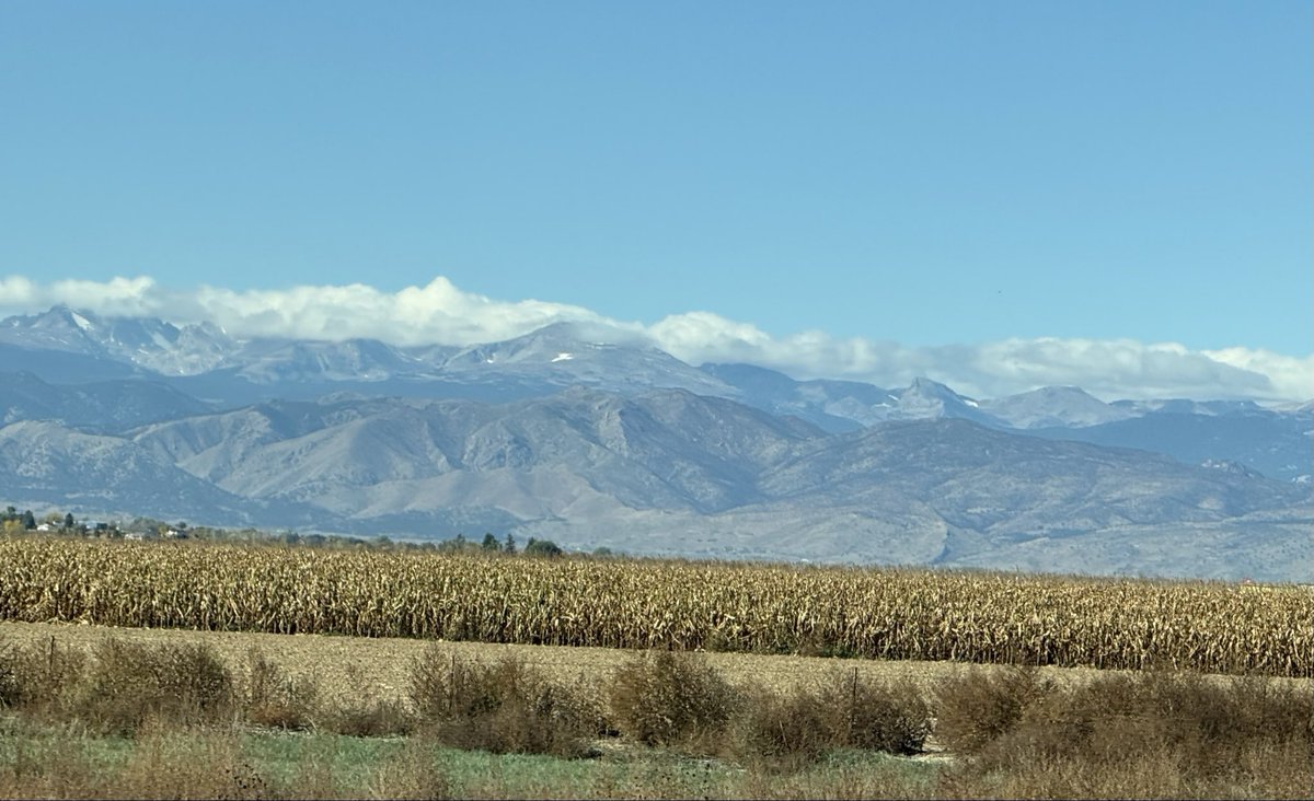 CSU parents weekend. Weather is absolutely gorgeous.