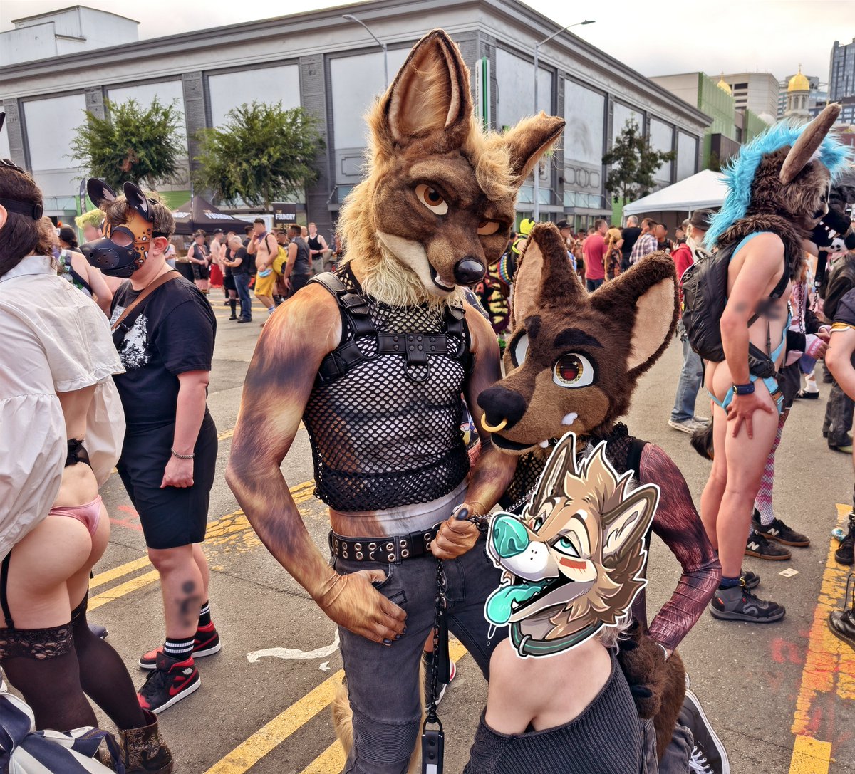 🐕‍🦺 <a href="/FrioDog/">Fʀɪᴏ 🔜 FC</a>