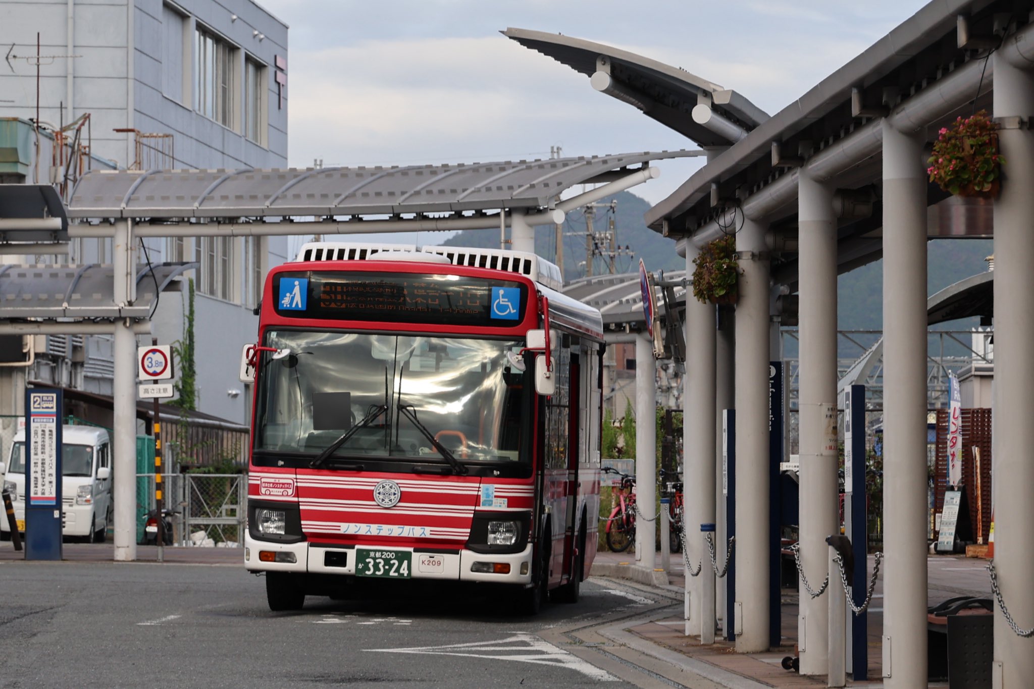パキプス亀 オペルクリカリア・パキプス | 多肉植物・特別な鉢の販売