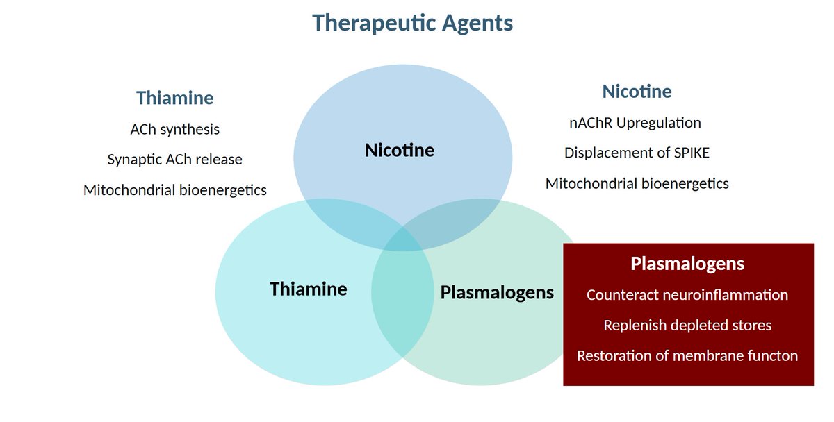 Elliot Overton tweet media