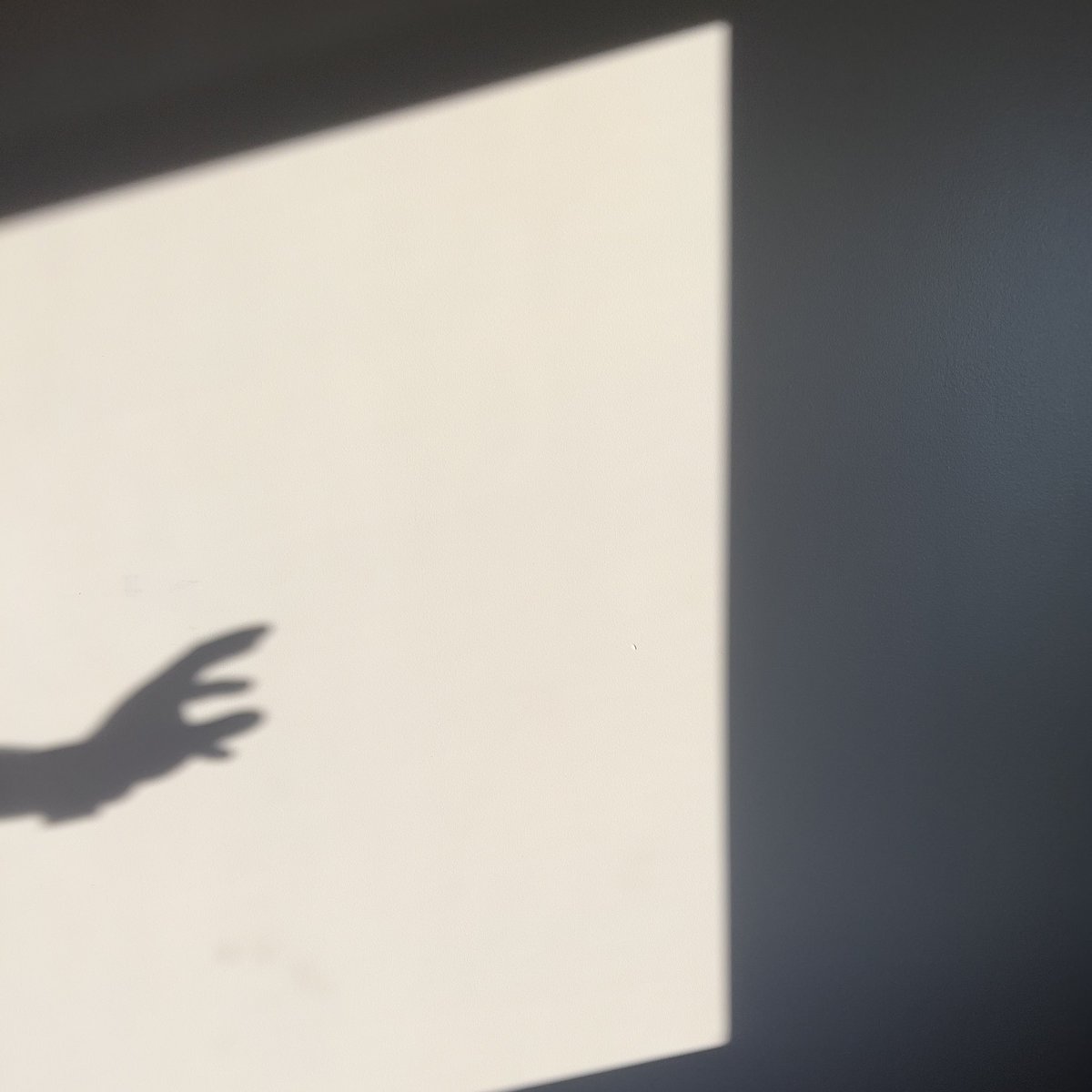 evening hospital room photo shoot