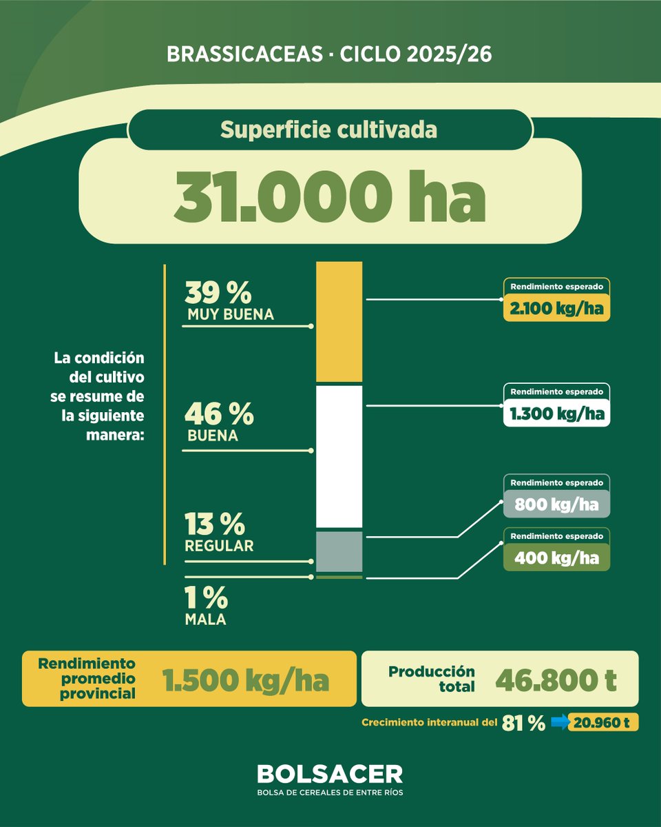 Crecería un 81% la producción de brassicaceas.
La superficie cultivada con brassicaceas en el ciclo 2025/26 en la provincia de Entre Ríos fue de 31.200 hectáreas

+INFO ℹ👉bolsacer.org.ar/site/creceria-…

#BolsaCER #BolsaDeCereales #EntreRíos #brassicaceas