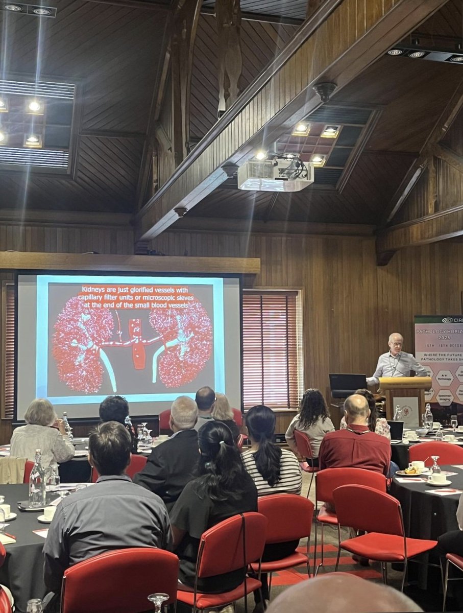cirdan_com's tweet photo. #Day2 of #PathologyHorizons2025 is off to a fantastic start! Our first speaker to take to the stage is Damian Fogarty, who gave us some fantastic insight into #KidneyHealth and #Disease as markers of #Ageing. Thank you for kicking off the second day of #PathologyHorizons! https://t.co/rEwzE1quJZ