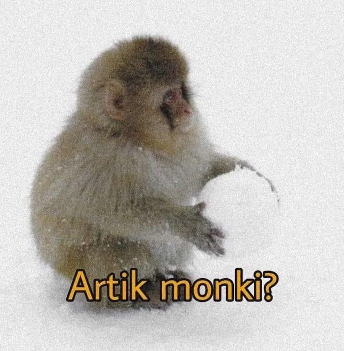 Salvador Iglesias Jr (@javisness) on Twitter photo 