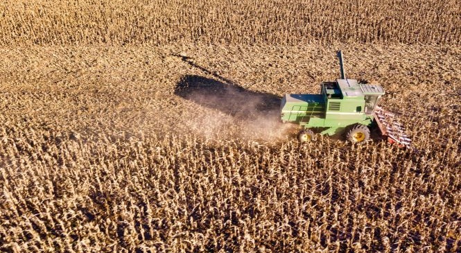 El campo se encamina hacia una cosecha récord y los productores cuentan con una herramienta estratégica...Ver más en el link elseguroenaccion.com.ar/el-campo-se-en…