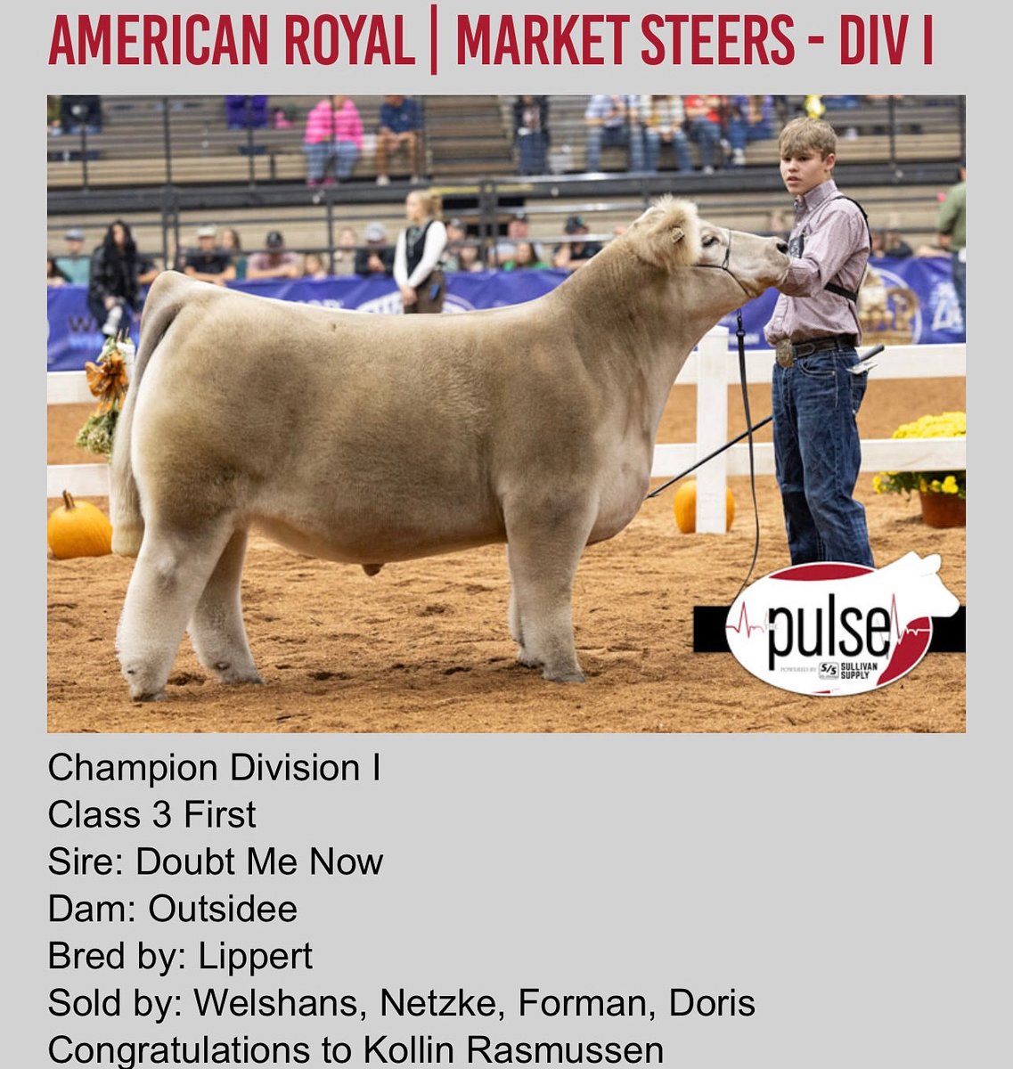 Incredible day at the American Royal for the Rasmussen Family!🏆
•
•
Backdrop picture coming soon!🔥