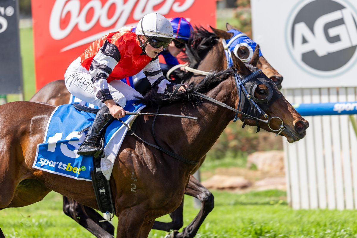 Great to chat to Robert Hill-Smith, owner of Mating Call, ahead of this weekend's Thousand Guineas 👇
<a href="/RacenetTweets/">Racenet</a> <a href="/SAbreeders/">SAbreeders</a> <a href="/yalumba/">Yalumba</a>

Story: tinyurl.com/4va6pdk7