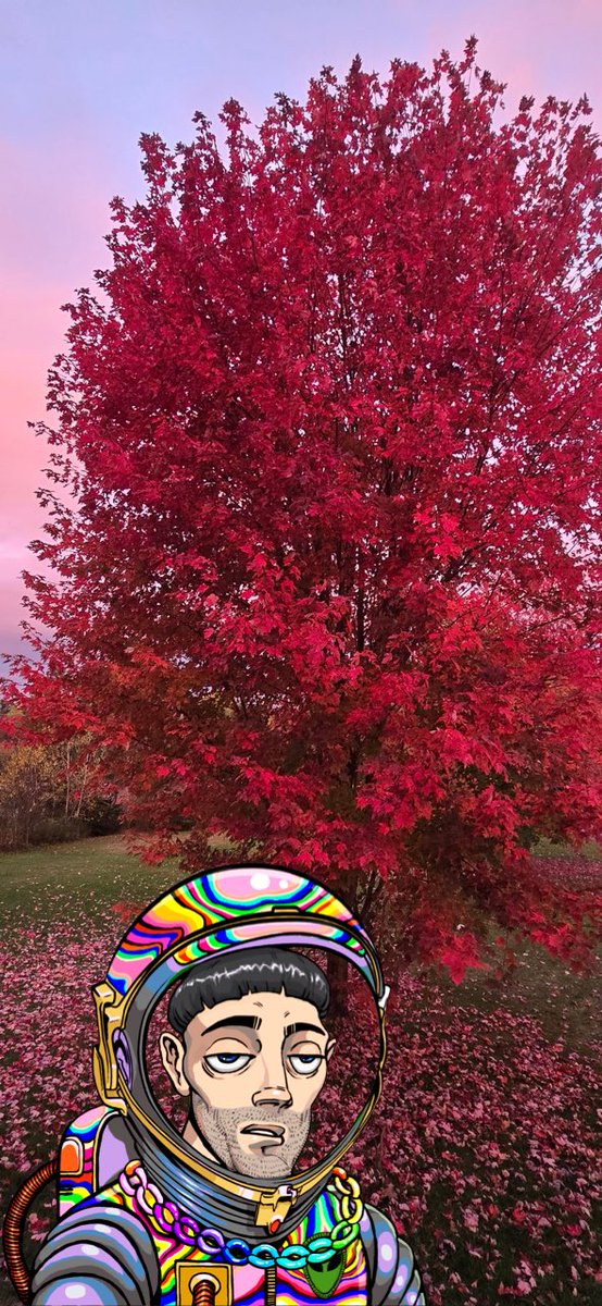 Rob P 🧑‍🚀 $PUNK tweet media