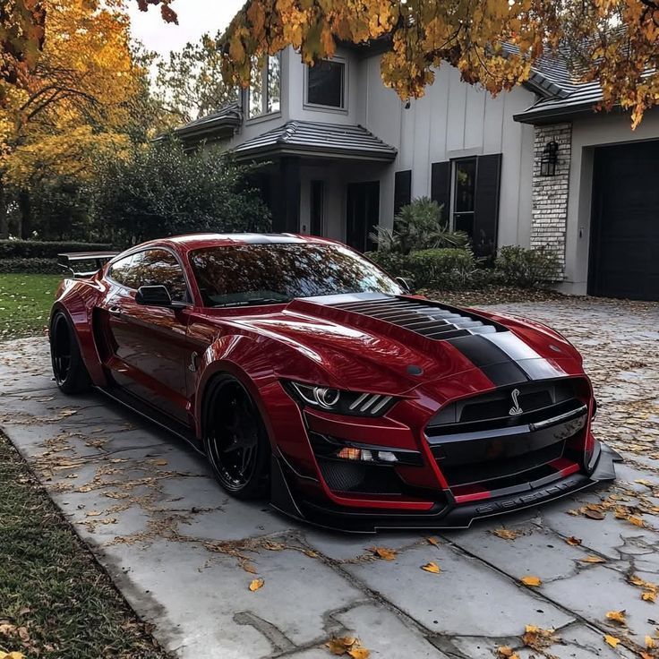 Shelby Mustang