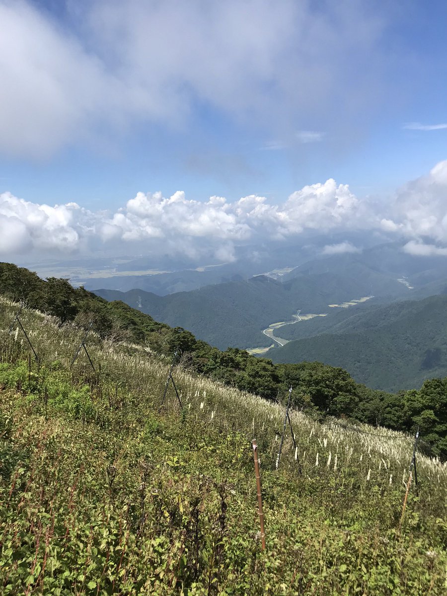 rzphiz939871's tweet image. おはようございます!
爽やかな
雨☔の朝✨😊☕️🍄🟫🍄🟫
本日も宜しくお願いします
✨⛩️👏☺️🍂🍂
伊吹山