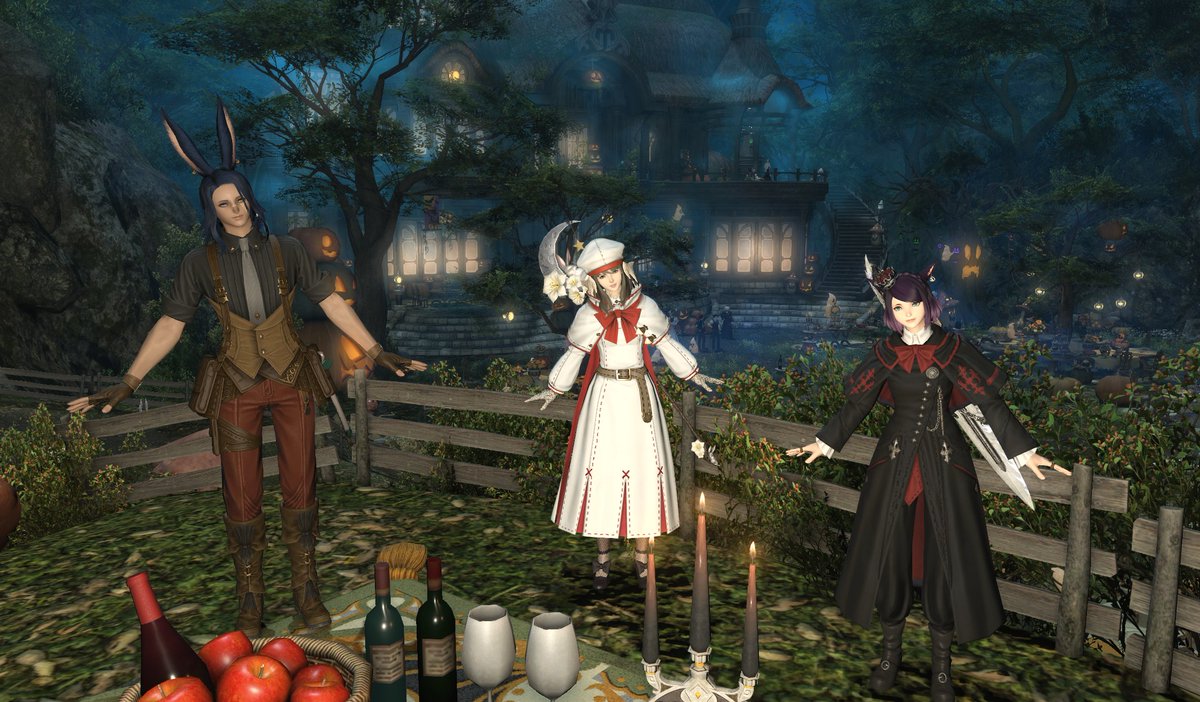 FCメンバーにDD付き合ってもらいました！
ボスに何回も転がされました・・ソロで踏破できる人がいるのスゴイですね。
そのあと守護天節に行ってSS撮らせてもらいました。
楽しかった～！