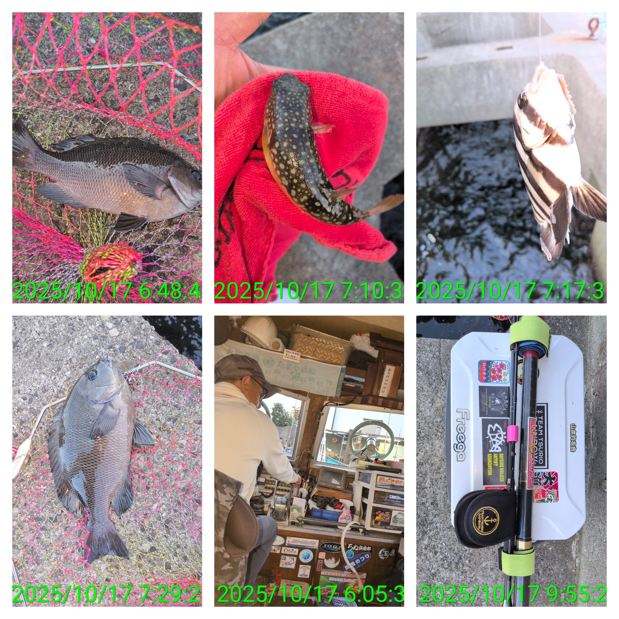 島ちゃん黒魂🌈 (@HECHIDE500) / X