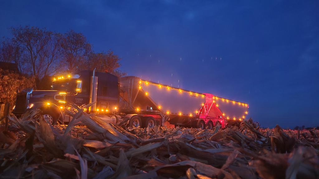 #GasserAgServices <a href="/MfgTrailer/">Platinum Trailer Mfg</a> back on the #wigglewagons. Soybeans out, new crop corn in. #harvest25