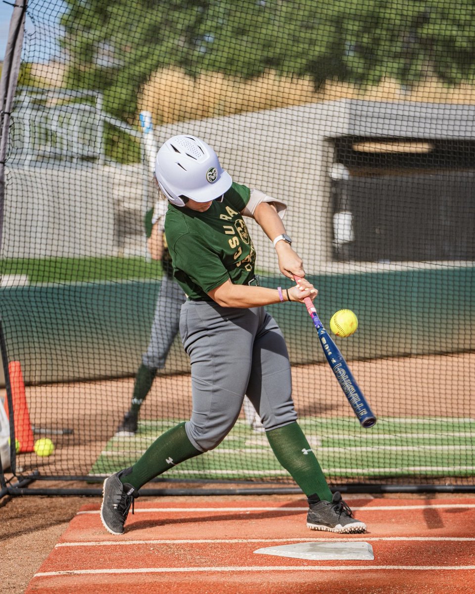 Colorado State Softball tweet media