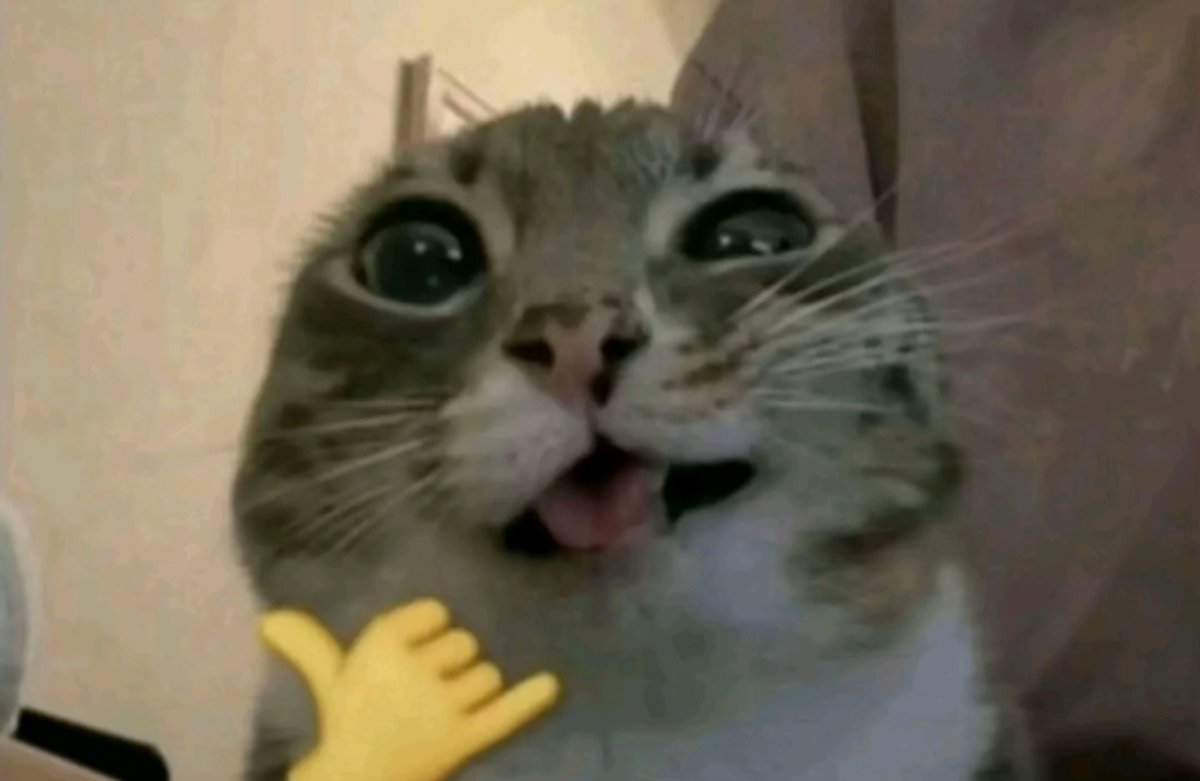 faeofsh's tweet photo. And for my next trick i'll cvt myself https://t.co/o2t7dWkNhF