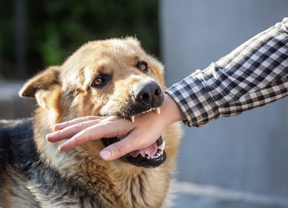 Nick Hester tweet media